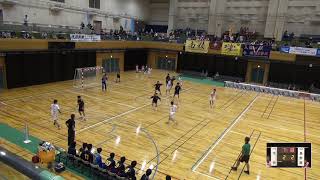 2019年IH ハンドボール 男子 2回戦 大分（大分）VS 長野南（長野）