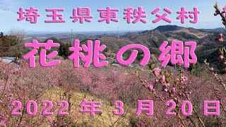 埼玉県東秩父・花桃の郷【2022年3月20日】