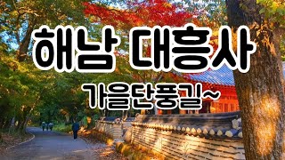 해남대흥사/가을풍경/산책길