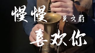 《流行中文歌曲》慢慢喜歡妳～莫文蔚_Jamesbon Soprano Sax Cover 高音薩克斯風演奏