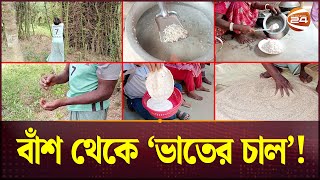 বাঁশের চাল; শুধু ভাত নয়, আটার রুটি, ছাতু, পায়েস এমনকি পোলাও রান্না হয় | Bamboo Rice | Dinajpur