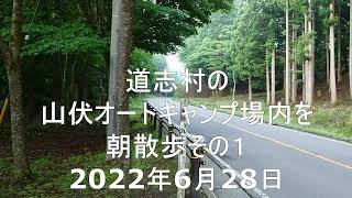 キャンプ場紹介道志村  山伏オートキャンプ場、夏でも涼しい林間のオートキャンプ場、標高約1000メートル奥道志と呼ばれているエリアにあります。場内を散歩してみた　その１『キャン散歩』