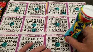 Bingo Games