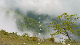 【山景動画】ある日の塔ノ岳｜2022年5月24日｜LUMIX GH6 4K60p