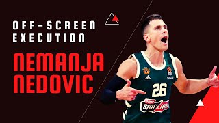 Nemanja Nedovic: How to execute off the screen