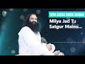 milya jad tu satgur mainu dera sacha sauda shabads saint dr gurmeet ram rahim singh ji insan