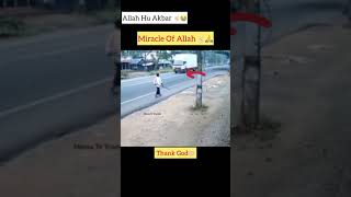 God’s Miracle - Miracle Of Allah #shorts #status #short