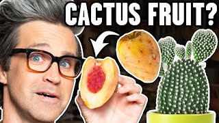 Exotic Fruits Taste Test