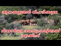 ചിന്നാറിലെ വശ്യപ്പാറയിലേക്ക് - Chinnar trekking [ Chinnar wildlife sanctuary ] -2020