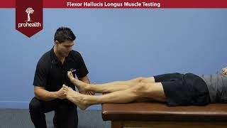 Flexor Hallucis Longus Muscle Test Palp Dr Vizniak Muscle Manual