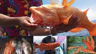 GRABE NAPASABAK AKO SA HILAAN DITO|JACKPOT SA MALALAKING ISDA AT 6.NA RED GROUPER