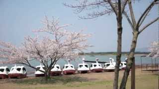 猪苗代湖畔にて　Standing on the Inawashiro lakeside