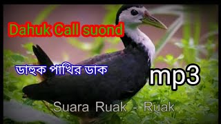 ডাহুক পাখির ডাক। Dahuk pakhir dak. পাখির ডাক।