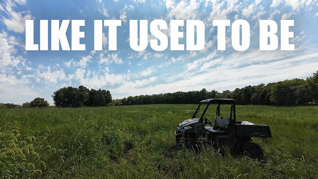 Restoring Native Prairie Youtube