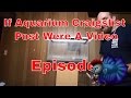 If Aquarium Craigslist Post Were A Video Episode 1