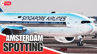 4K LIVE Amsterdam Schiphol Spotting (AMS), 26.02.25