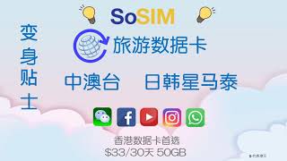 旅游, 商务用SoSIM ,  $33 -5天, 变身教学, 注意事项, 最方便, 抵用旅游卡,  大中华数据年费计划, 方便翻墙, 面书, whatsapp, IG, youtube 无问题