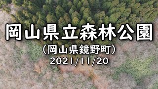 岡山県立森林公園（岡山県鏡野町）2021年11月20日　ドローン撮影