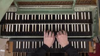 Claudio Brizi plays Praeludium et Fuga 3 in d from Ariadne Musica by J C F Fischer on his Claviorgan