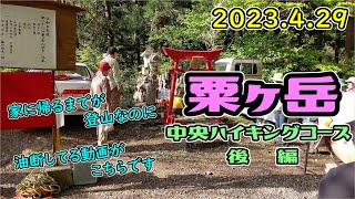 【新潟県】粟ヶ岳 1292m（中央ハイキングコース）後編　2023.4.29　※頂上は行かず