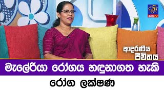 මැලේරියා රෝගය හඳුනාගත හැකි රෝග ලක්ෂණ | Adaraneeya Jeewithaya