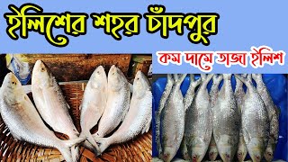 ইলিশের শহর চাঁদপুর || এখান থেকে একদম কম দামে তাজা ইলিশ কিনুন || Sohag’s Travel