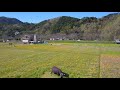 2020 伊豆 松崎町 田んぼをつかった花畑 ドローン 空撮 mavic pro