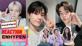 วอดวาย REACTION | ENHYPEN FUNNY MOMENT : HEESEUNG - JAY - JAKE  | WatchWhy