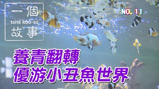 (三大有線)一個故事 NO.11《養青翻轉 優游小丑魚世界》