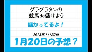 グラグラタンの競馬予想？！　１月２０日（土）分