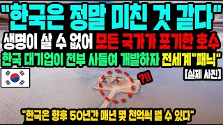 [단독] 남미에 버려진 땅 한국이 3000억원에 사서 '35조 원 창조경제' 만들자 전세계 경제학자들 말도 안되는 일이라며 충격받은 이유!ㅣ한국이 사버린 \