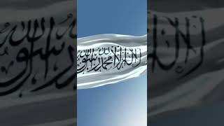 #islamictamilinfo #nagorehanifasong  #islamicvideo #islam #allahuakbar