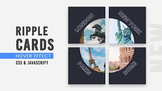 Ripple Card Hover Effects on Mousemove | CSS & Javascript