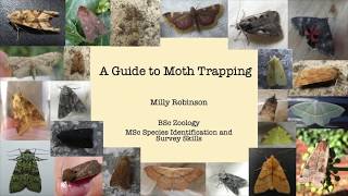 A Guide to Moth Trapping