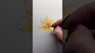 Watercolour Frangipani Painting #shorts #watercolor #painting #botanical