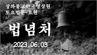 (토요법문)법념처 2023.06.03