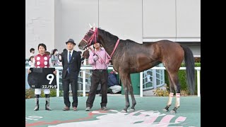 20241110 競馬ﾚｰｽﾄﾋﾟｯｸ　07【最低人気!】'24福島放送賞 D1700 10下 スズノテレサ