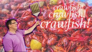 Crawfish Fest Song