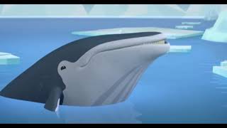 Octonauts Humpback Whale Sounds