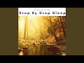 Blissful Karma Time Sounds for Sustainable REM