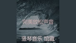 一尘不染声音印象数