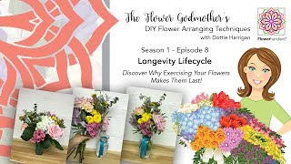 Season 1 Episode 8: Longevity Lifecycle - Flower Godmother's DIY Flower Arranging Techniques