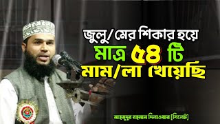 জুলু/মের শি*কার হয়ে মাত্র ৫৪ টি মা*ম*লা খেয়েছি mahmudur rahman dilwar waz মাহমুদুর রহমান দিলওয়ার