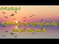 رساله لك💌ماذا يخبرك الله العليم عسى ان تكون اراده الله ان ترى هذه الكلمات