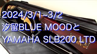 2024/3/1~3/2 汐留BLUE MOODとYAMAHA SLB200 LTD 紹介