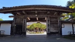 世界遺産『中尊寺』900年の歴史を体感🥹