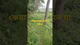 কেয়ামতের পূর্বে যা ঘটবে #vairal #youtubeshorts