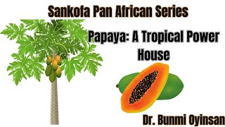 Papaya: The Tropical Powerhouse #PapayaBenefits#SuperfruitSecrets#HealthyEating#