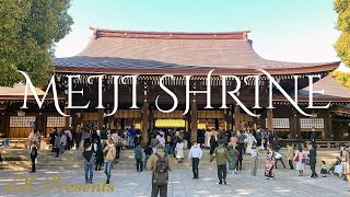 【TOKYO SPIRITUAL WALK】Urban Oasis MEIJI SHRINE/永遠の杜「明治神宮」散策