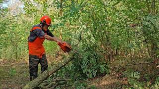 Husqvarna 36 láncfűrész/chainsaw rapidteszt